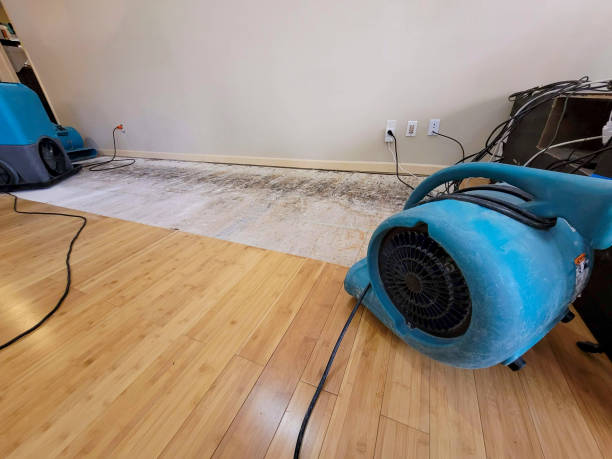 Professional Flood Damage Cleanup technician working in Wallington, NJ